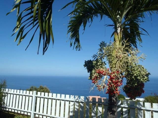Les Kreol'Inns Chalets De Charme Saint-Leu Εξωτερικό φωτογραφία